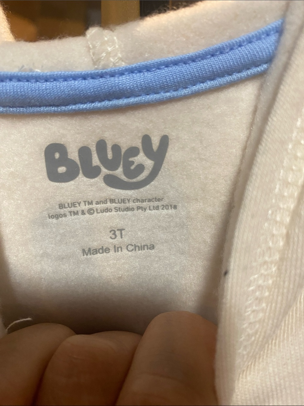 Bluey size 3T Cream Hoodie & Joggers Set for Kids unisex NWT Boys or girls - Picture 8 of 8